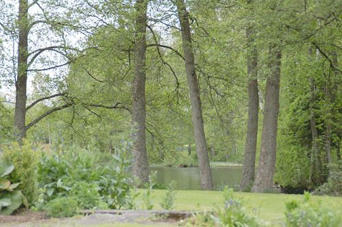 Solvikens Pensionat Ingelstad  Exteriér fotografie